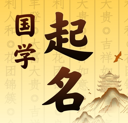 阳谷国学起名 人工起名一对一